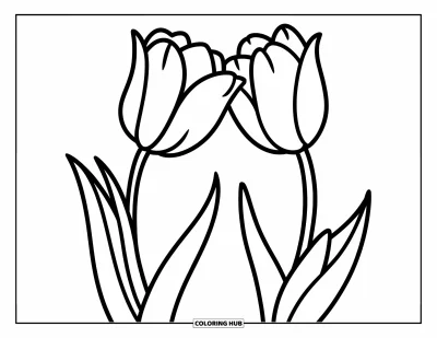 Tegning med tulipaner til børn: To tulipaner hælder mod hinanden med bladene rørende
