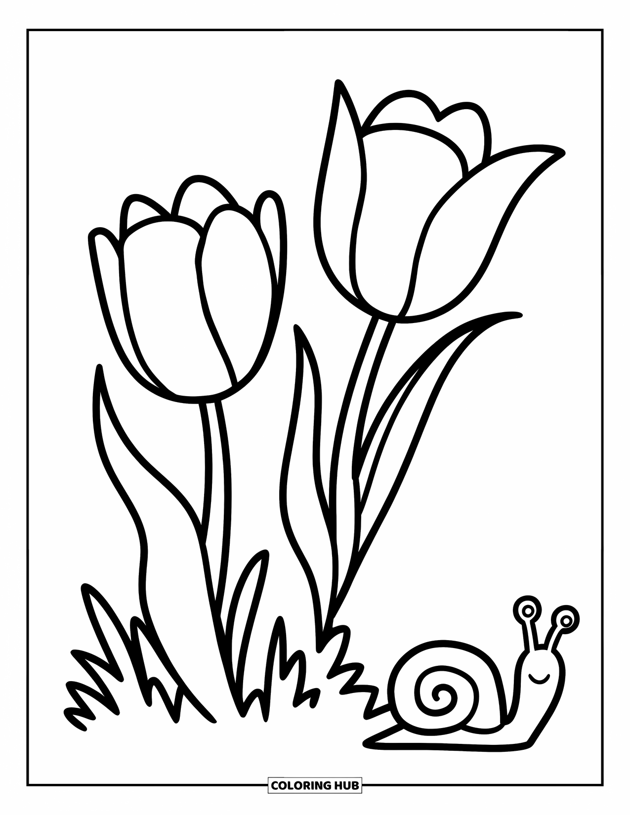 Tulip Coloring Page for Kids: Two tulips stand tall as a snail slowly moves by