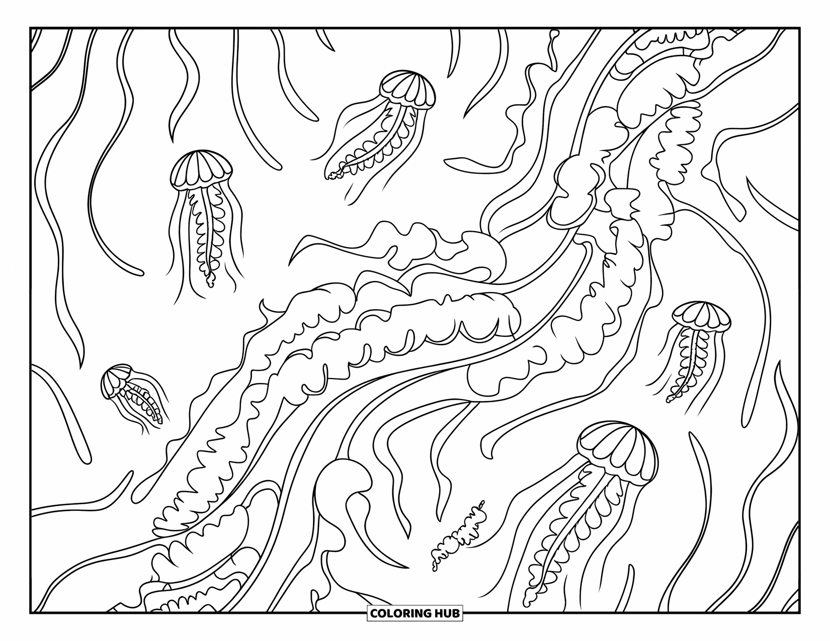 Under The Sea Coloring Page for Adults: A jellyfish garden with long, flowing tendrils