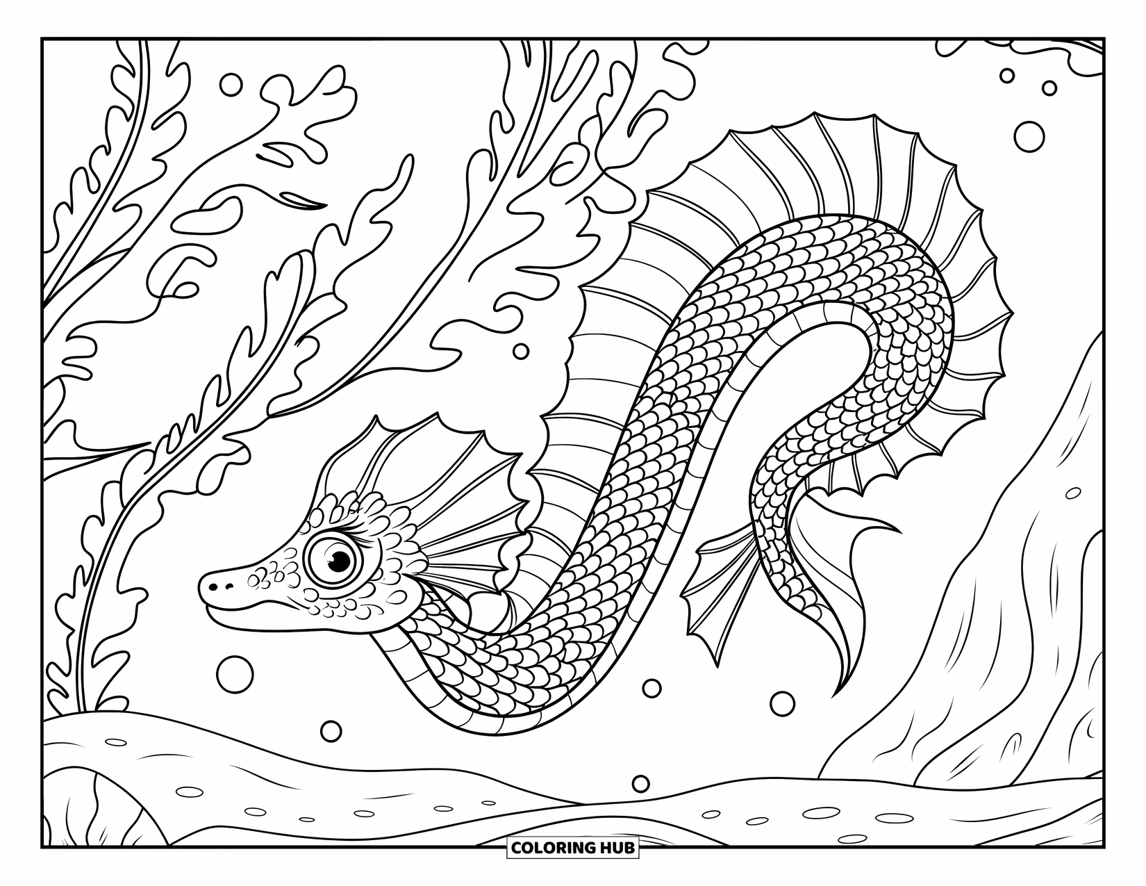 Under The Sea Coloring Page for Adults: A sea dragon with detailed scales glides through kelp and rocky seabeds