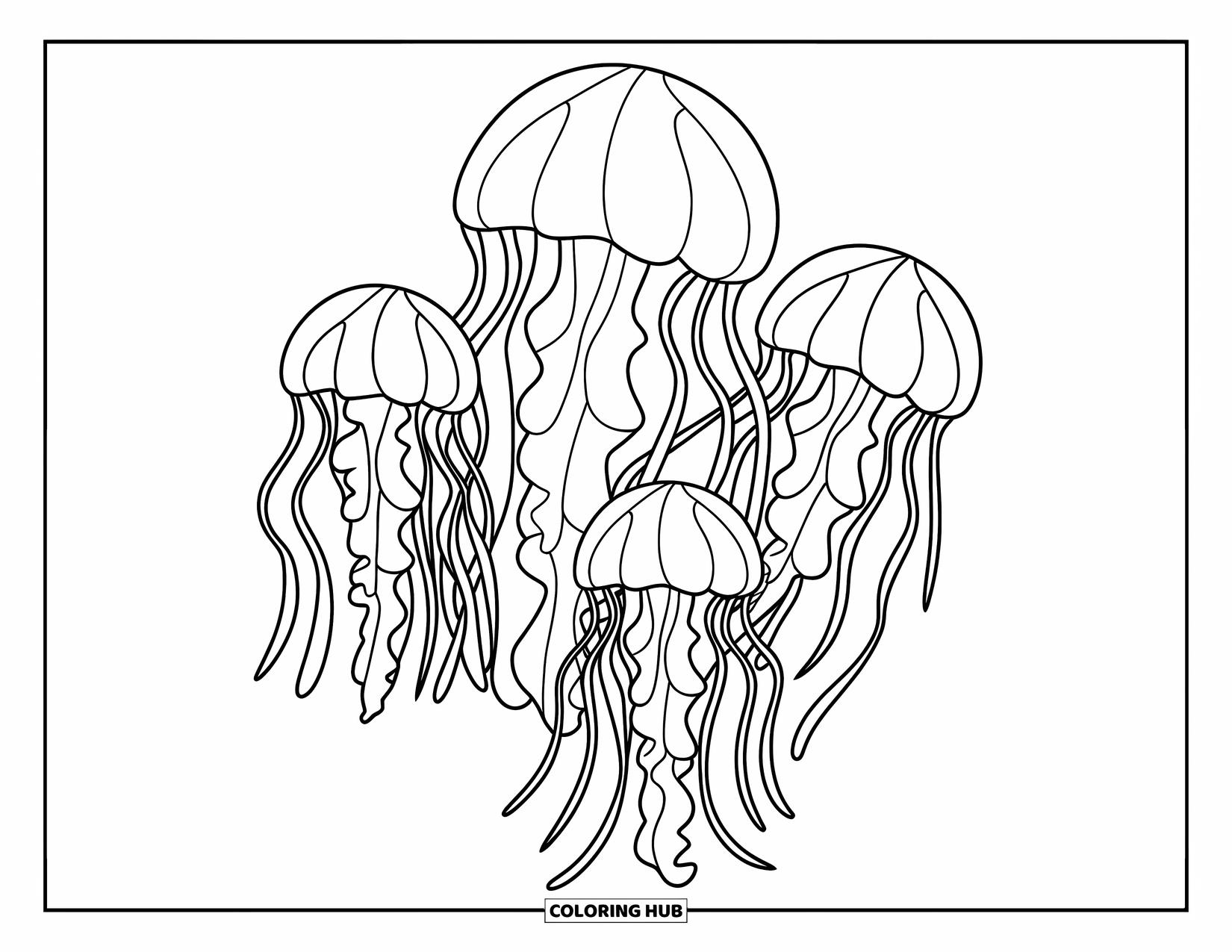 Under The Sea Coloring Page for Kids: Three jellyfish float peacefully with long tentacles in clear water