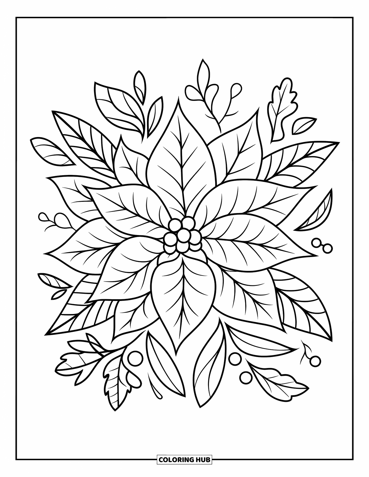 Winter Coloring Page for Kids: A cheerful poinsettia flower with bold outlines and simple winter foliage