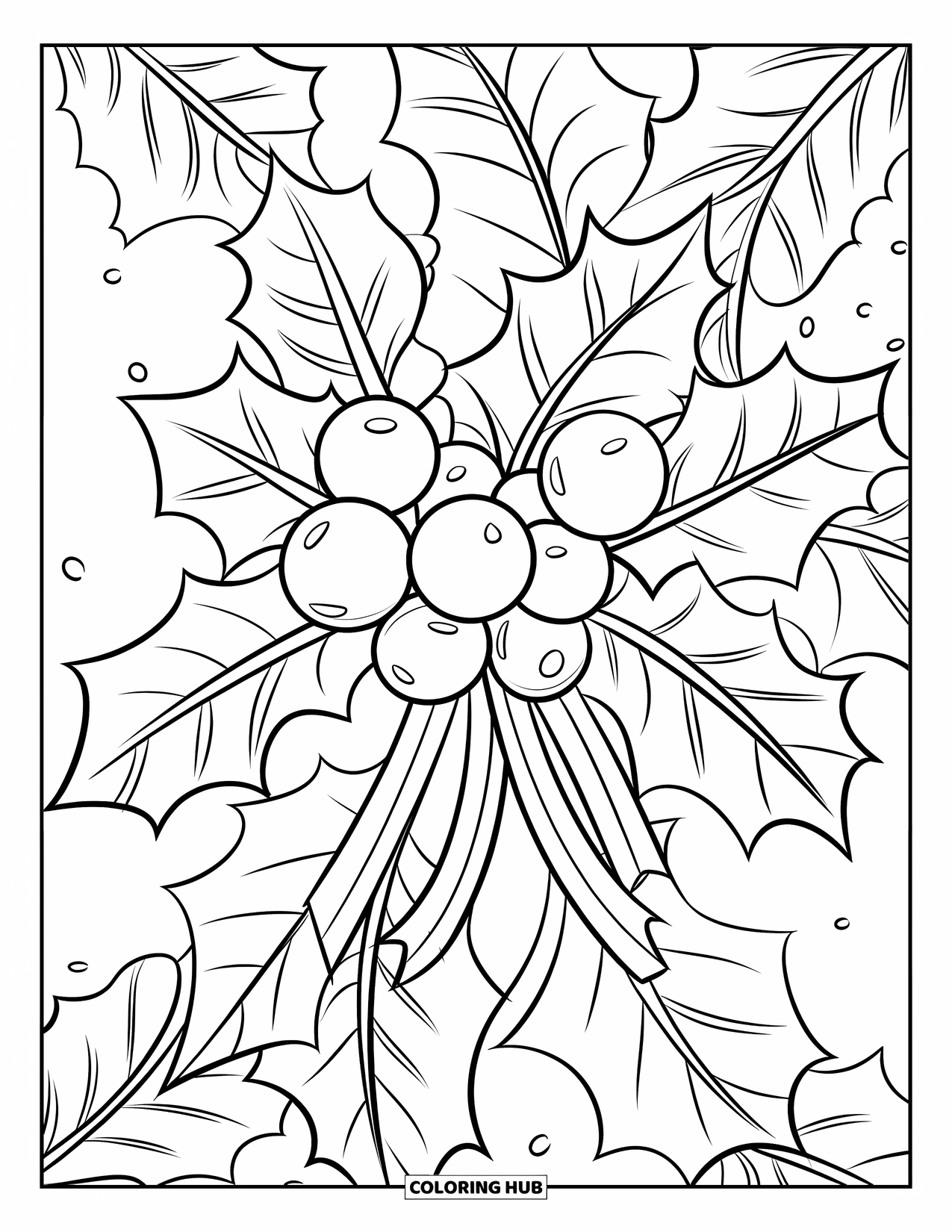 Winter Coloring Page for Kids: A holly berry cluster tied with a ribbon, featuring bold patterns and a dusting of snow