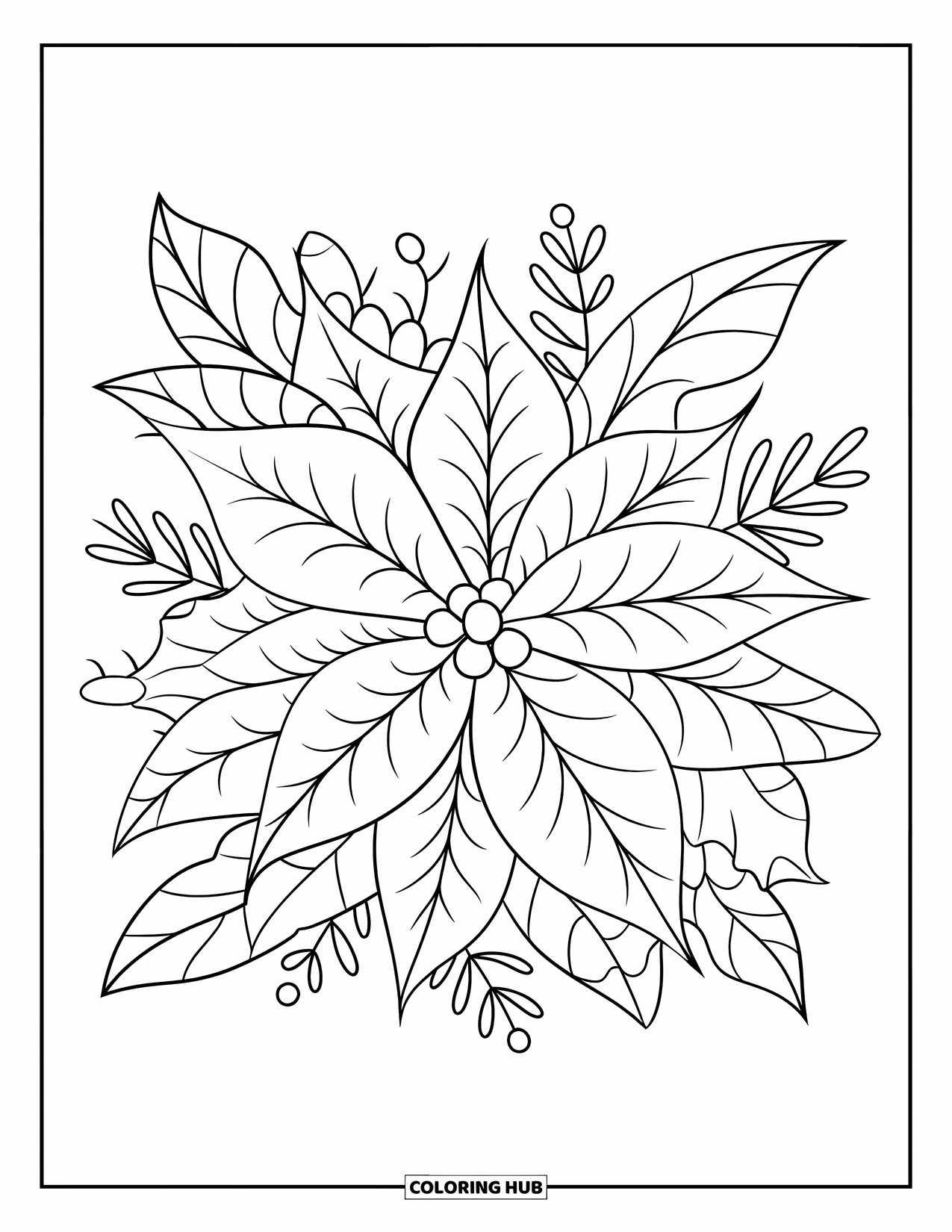 Winter Coloring Page for Kids: A large, detailed poinsettia surrounded by winter leaves and berries, with a playful design