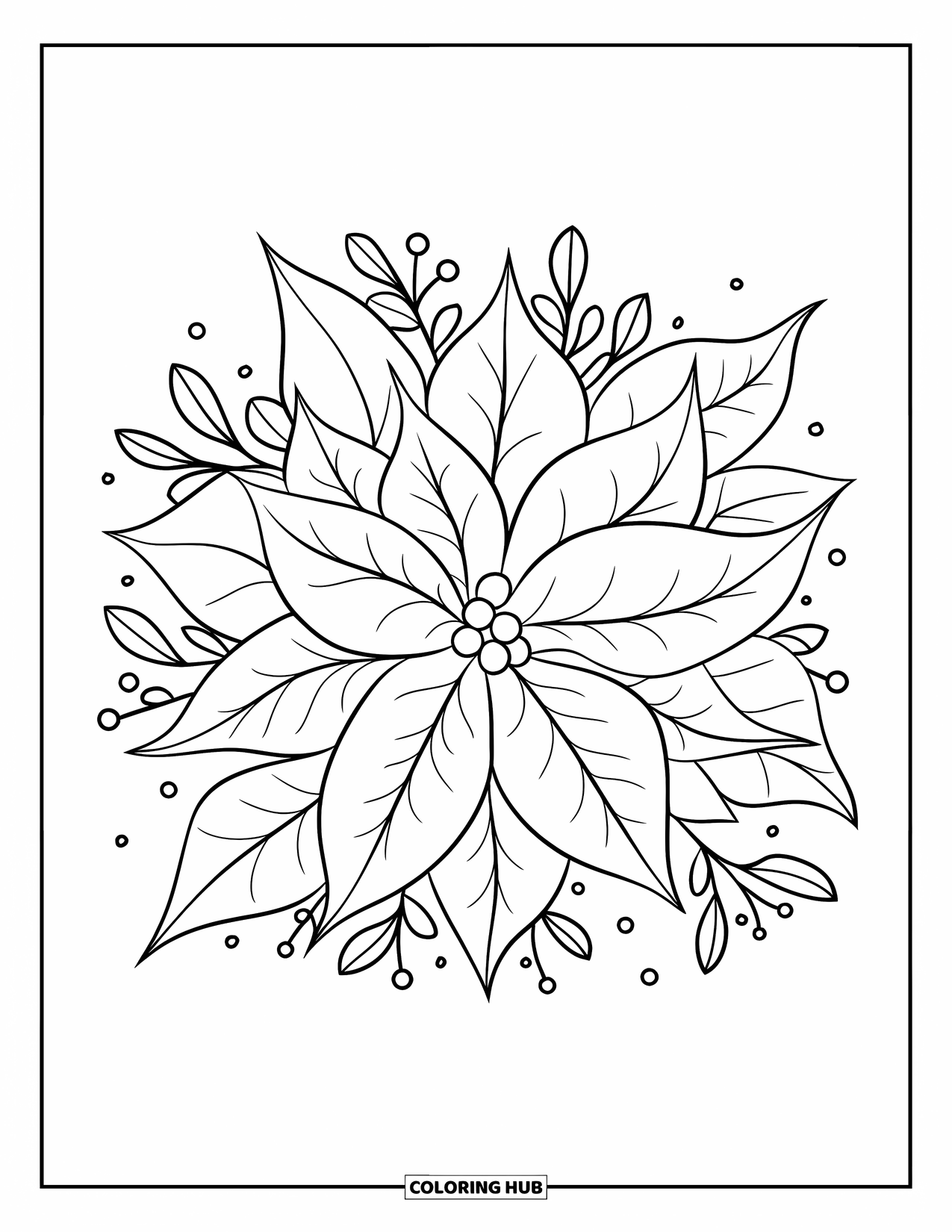 Winter Coloring Page for Kids: A large poinsettia flower with bold outlines, surrounded by small winter leaves and berries
