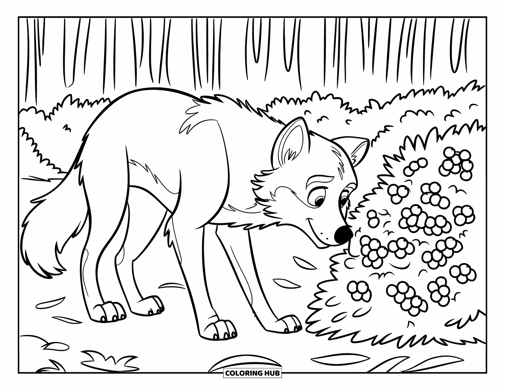 Wolf Coloring Page for Kids: A fluffy-tailed wolf sniffs berries on a forest floor