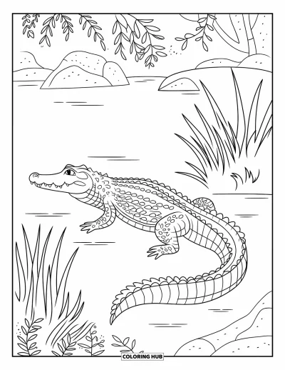 Coloriage d'alligator pour adultes : Un alligator adulte repose au bord d'un lac, son dos et sa queue couverts de motifs