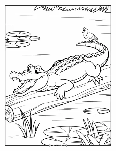 Coloriage d'alligator pour enfants : Un alligator est allongé sur un tronc avec un oiseau perché sur sa queue