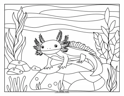 Coloriage d'axolotl pour adultes : Un axolotl est assis sur un rocher avec de douces vagues, entouré de plantes et de contours nets
