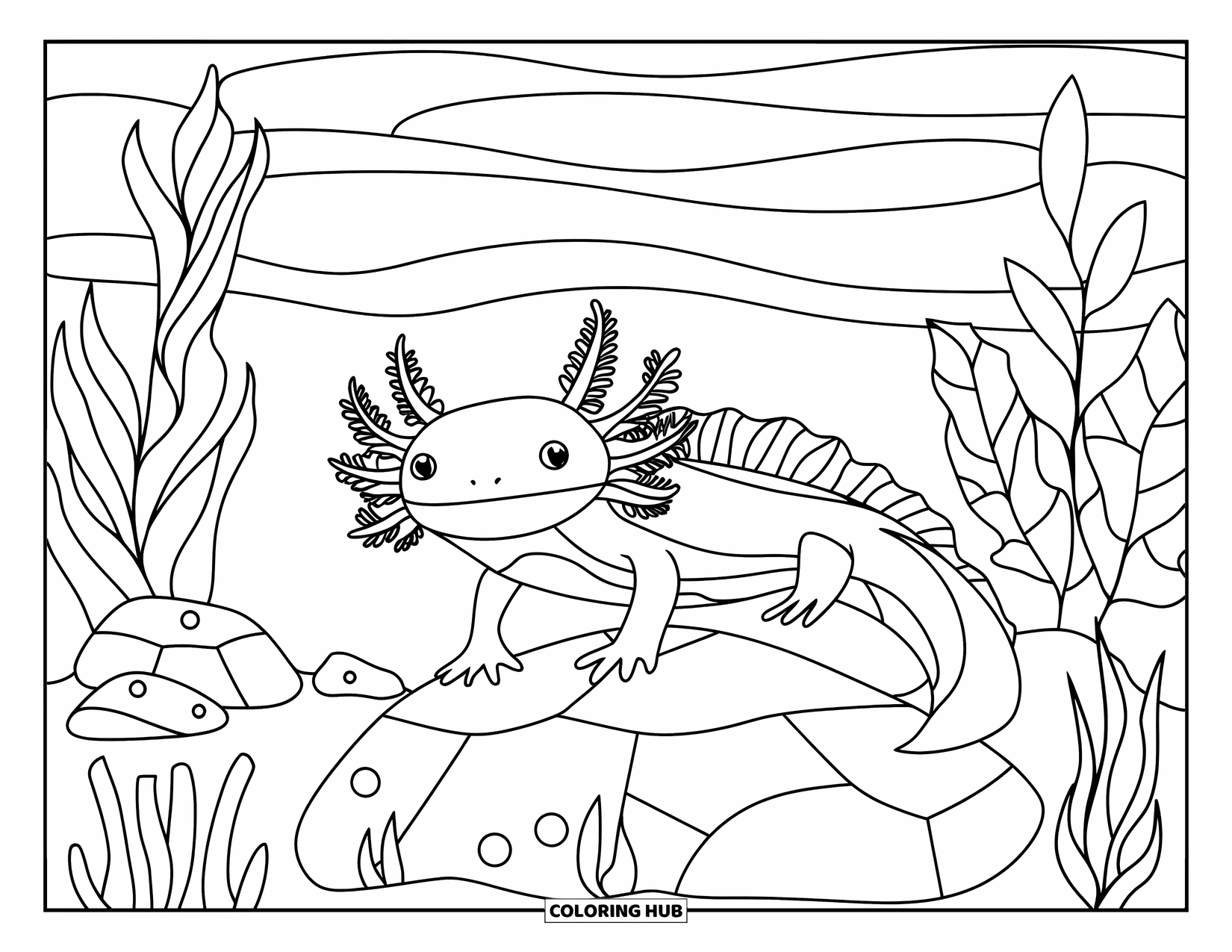 75 Dibujos De Ajolotes Para Colorear Para Ni os Y Adultos Gratis 75 Dibujos De Ajolotes Para Colorear Para Ni os Y Adultos Gratis