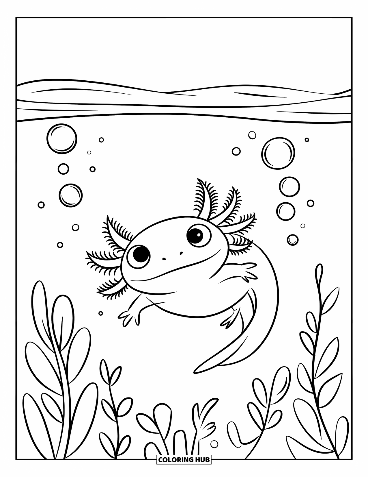 Dibujo de ajolote para colorear para niños: Un feliz ajolote flota de espaldas cerca de burbujas y plantas submarinas frondosas