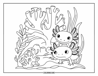 Coloriage d'axolotl pour enfants : Des axolotls se cachent derrière des coraux et des plantes dans un jeu sous-marin amusant