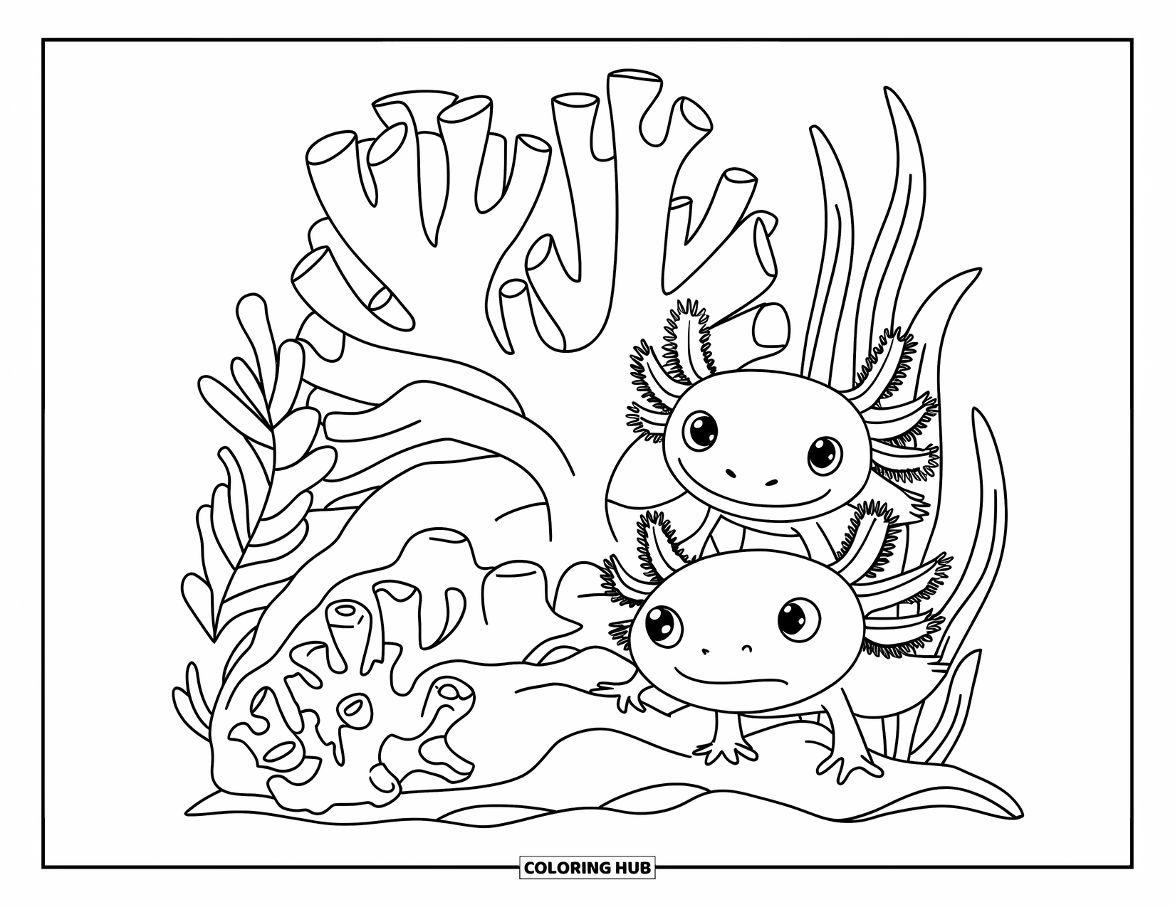 Dibujo de ajolote para colorear para niños: Los ajolotes se esconden detrás de corales y plantas en un divertido juego submarino
