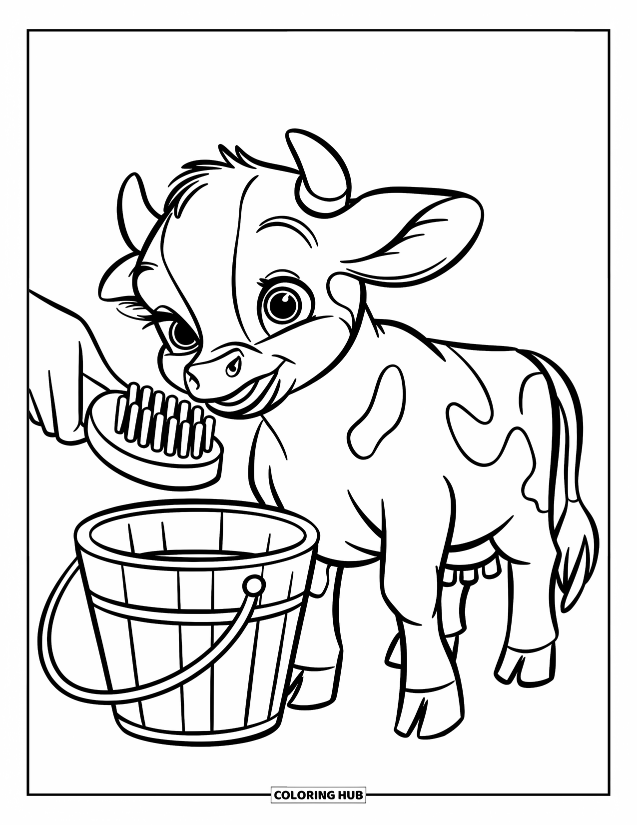 Baby Cow Coloring Page for Kids: A baby cow enjoys a gentle brushing beside a small bucket