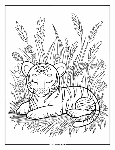 Tegning af babytiger til voksne: Babytiger ligger stille på en blomstereng med græs
