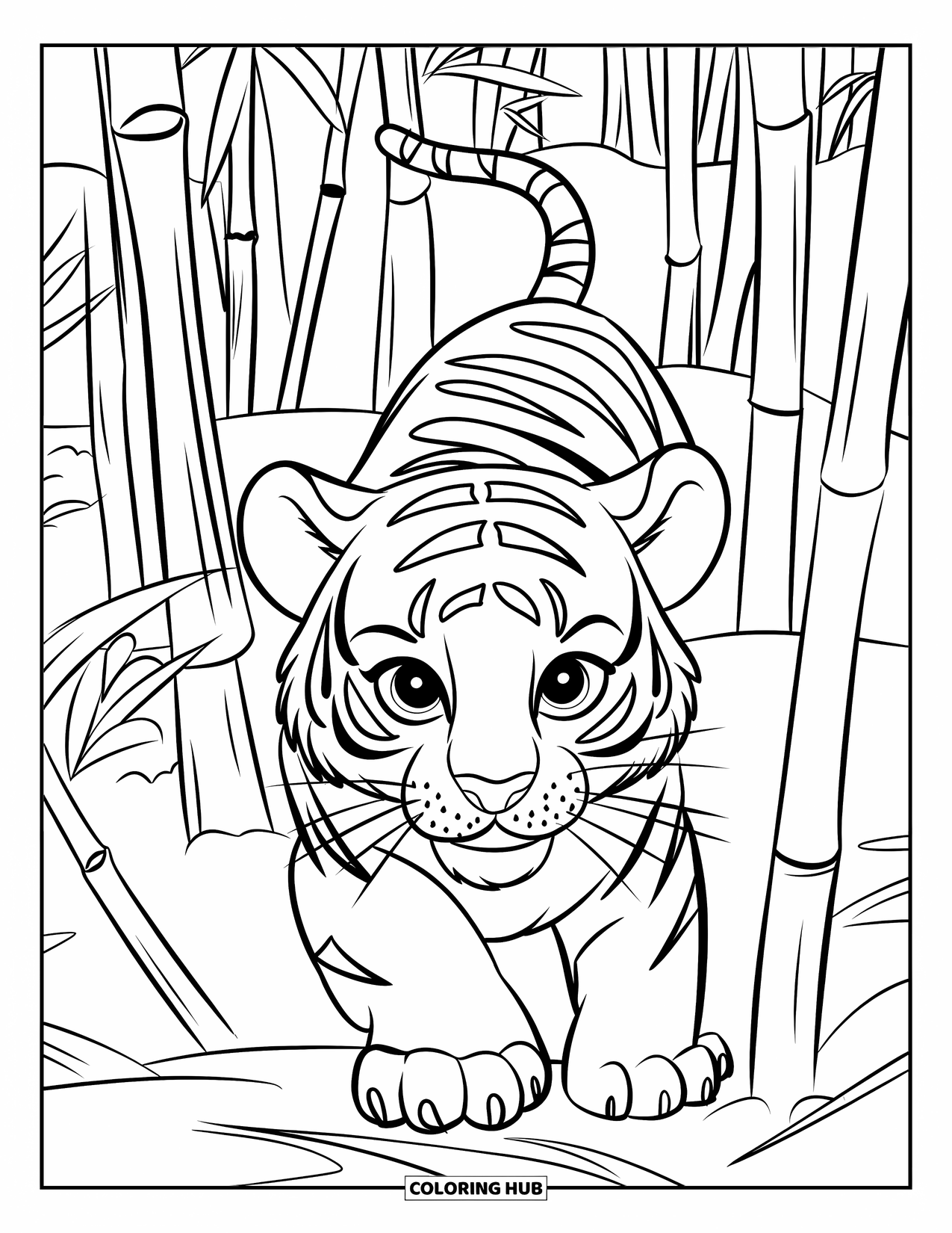 Dibujo para colorear de tigre bebé para niños: Un tigre concentrado camina a través del bambú, con los ojos bien abiertos y alerta