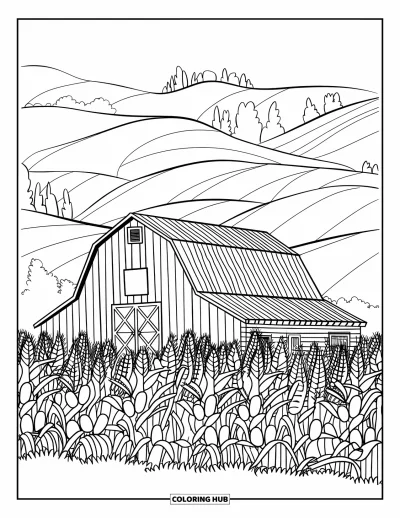 Coloriage de grange pour enfants : Une grange est installée au milieu d'un grand champ de maïs avec des collines au loin