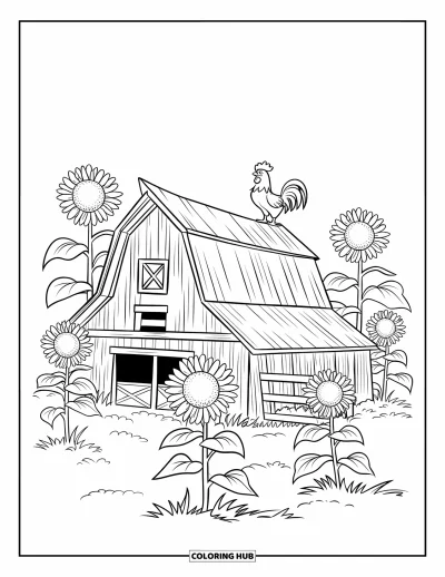 Coloriage de grange pour enfants : Un coq est perché sur une grange rustique entourée de grands tournesols
