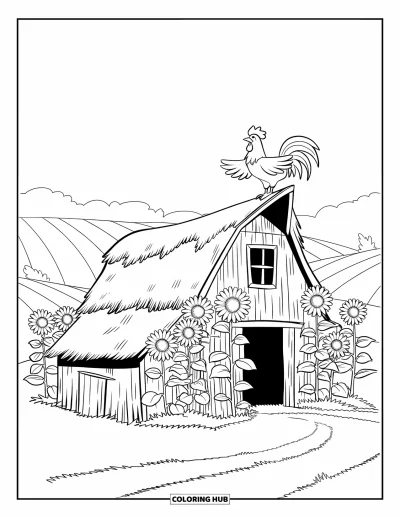 Coloriage de grange pour enfants : Une vieille grange se dresse parmi des tournesols avec un coq sur le toit