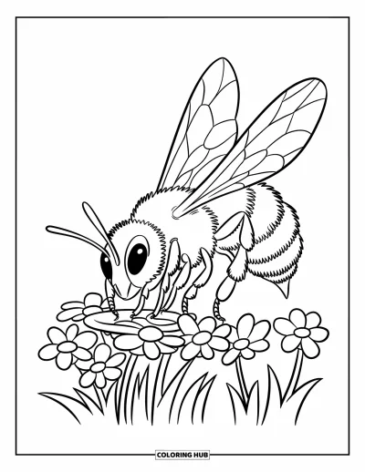 Fargeleggingsark med bie for barn: En bie samler pollen fra en blomsterklase med detaljerte kroppsdeler