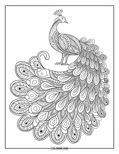 Dibujo de pajaros para colorear para adultos: Pavo real con patrones intrincados en su cola formando un mandala completo