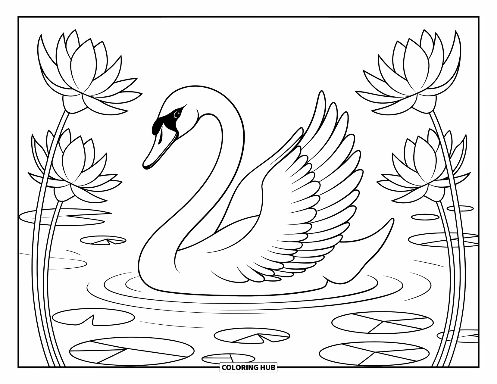 Bird Coloring Page for Adults: Swan gliding on a calm lake surrounded by blooming lotus flowers