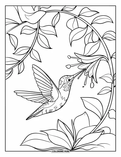 Dibujo de pajaros para colorear para niños: Colibrí colorido volando mientras sorbe de una flor en plena floración