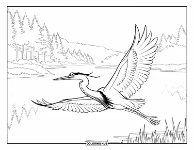 Dibujo de pajaros para colorear para niños: Garza deslizándose sobre un lago silencioso rodeado de árboles altos y nubes