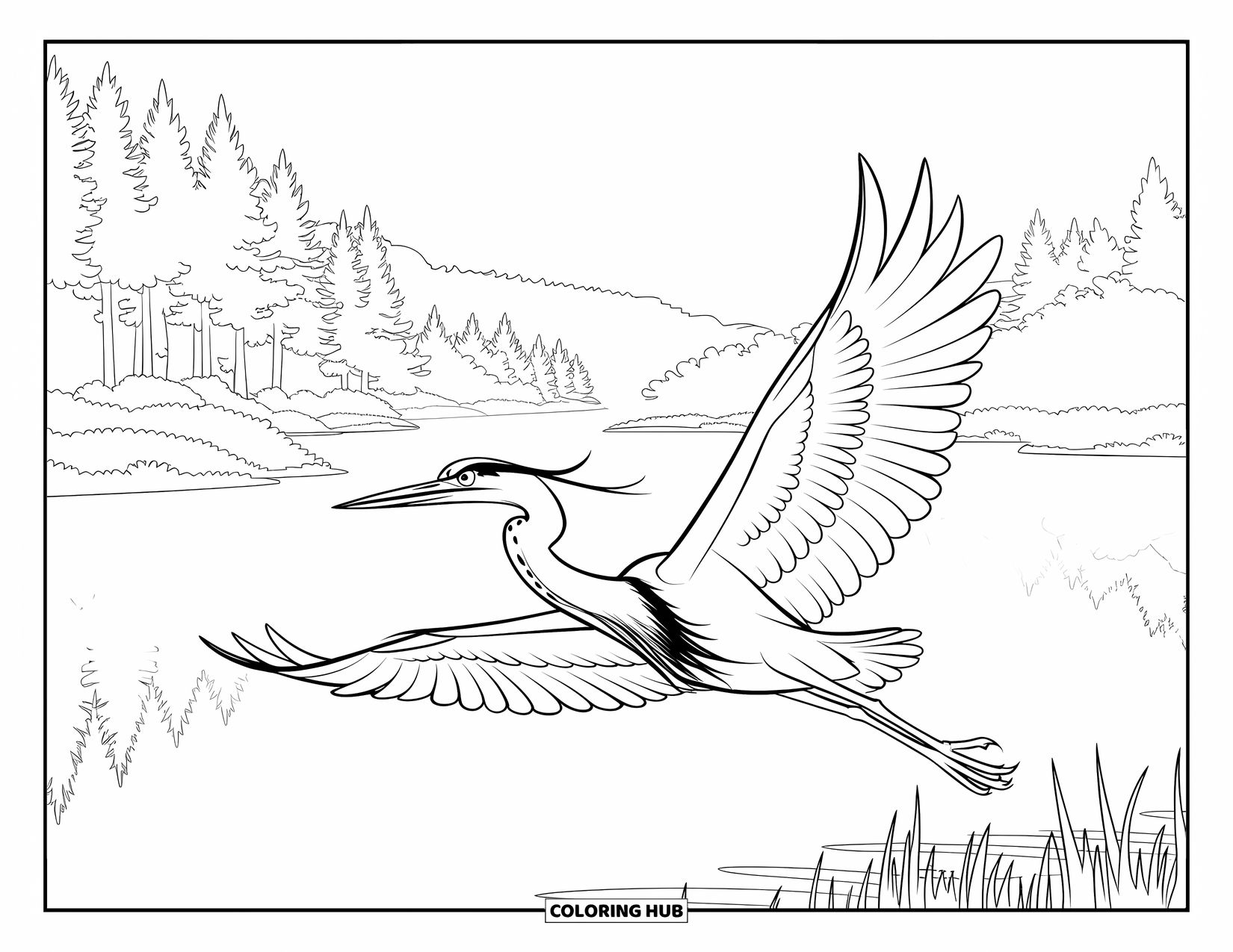 Bird Coloring Page for Kids: Heron gliding over a quiet lake surrounded by tall trees and clouds
