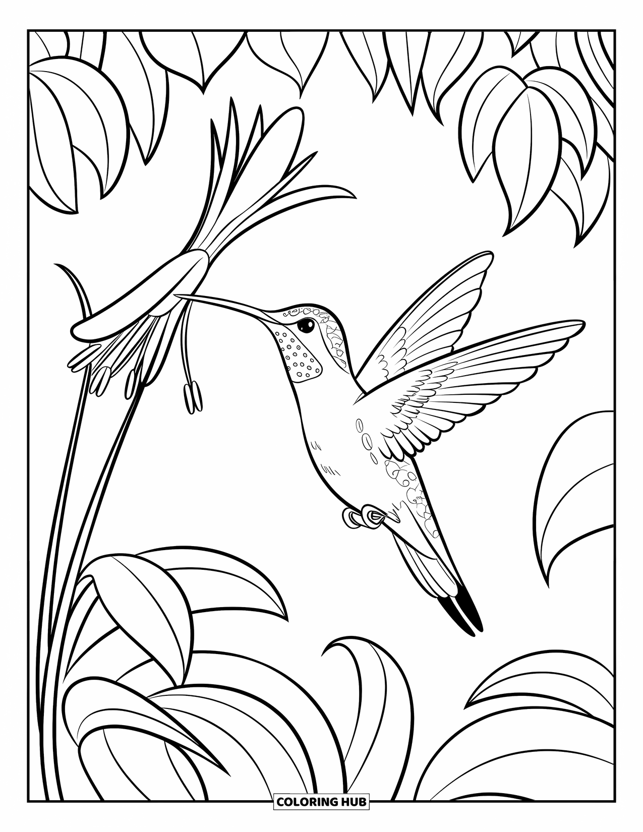 Bird Coloring Page for Kids: Hummingbird feeding on a flower among lush leaves