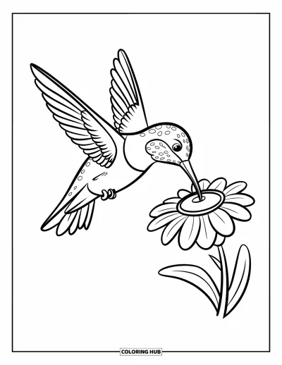 Dibujo de pajaros para colorear para niños: Colibrí sorbiendo néctar en el aire desde una flor