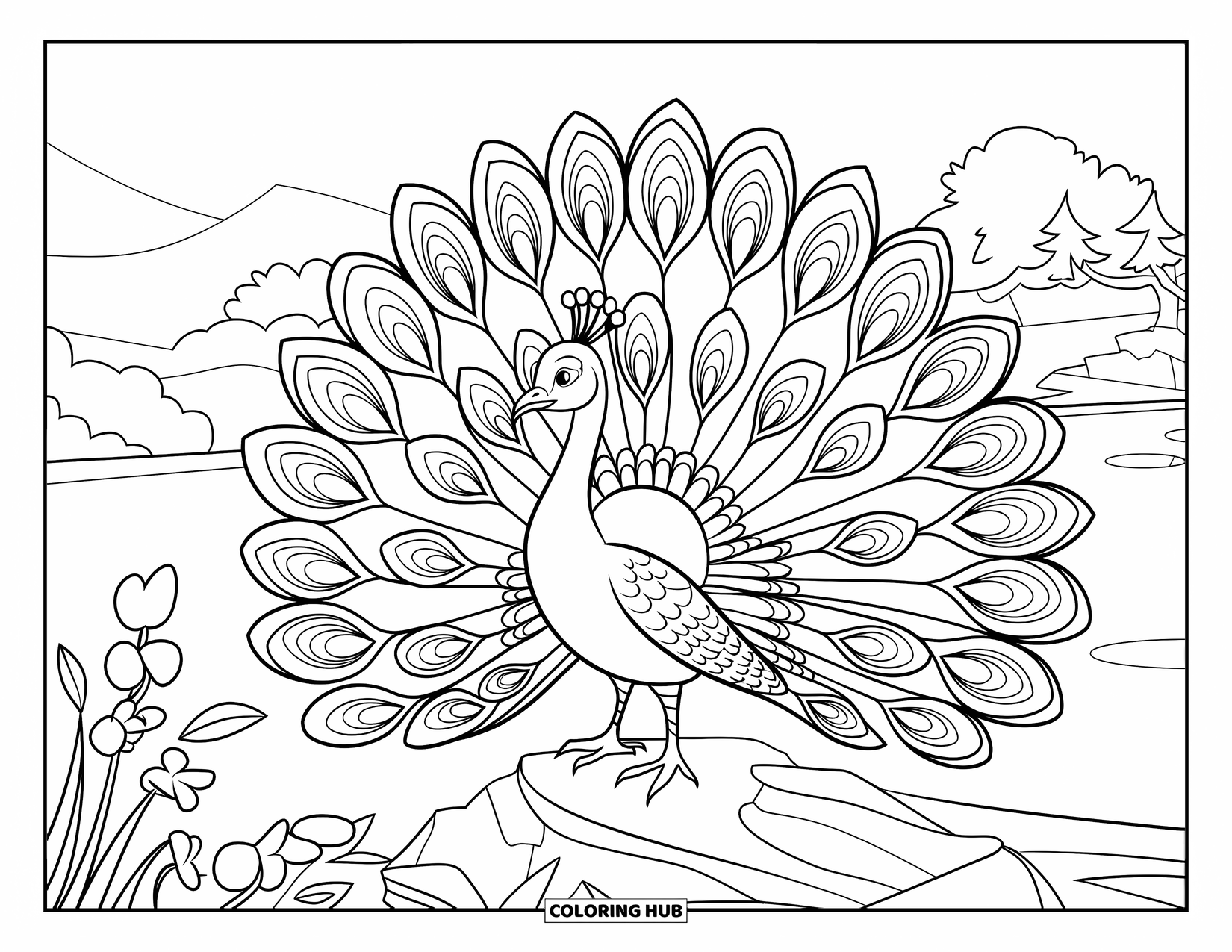 Bird Coloring Page for Kids: Peacock on rocky terrain with flowers nearby and mountains in the distance