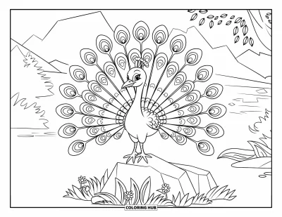 Dibujo de pajaros para colorear para niños: Pavo real posado en una roca, rodeado de flores y un paisaje tranquilo