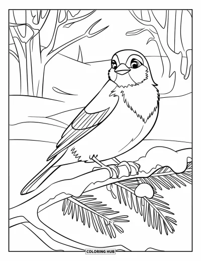 Dibujo de pajaros para colorear para niños: Ave invernal posada en una rama nevada con una piña cerca