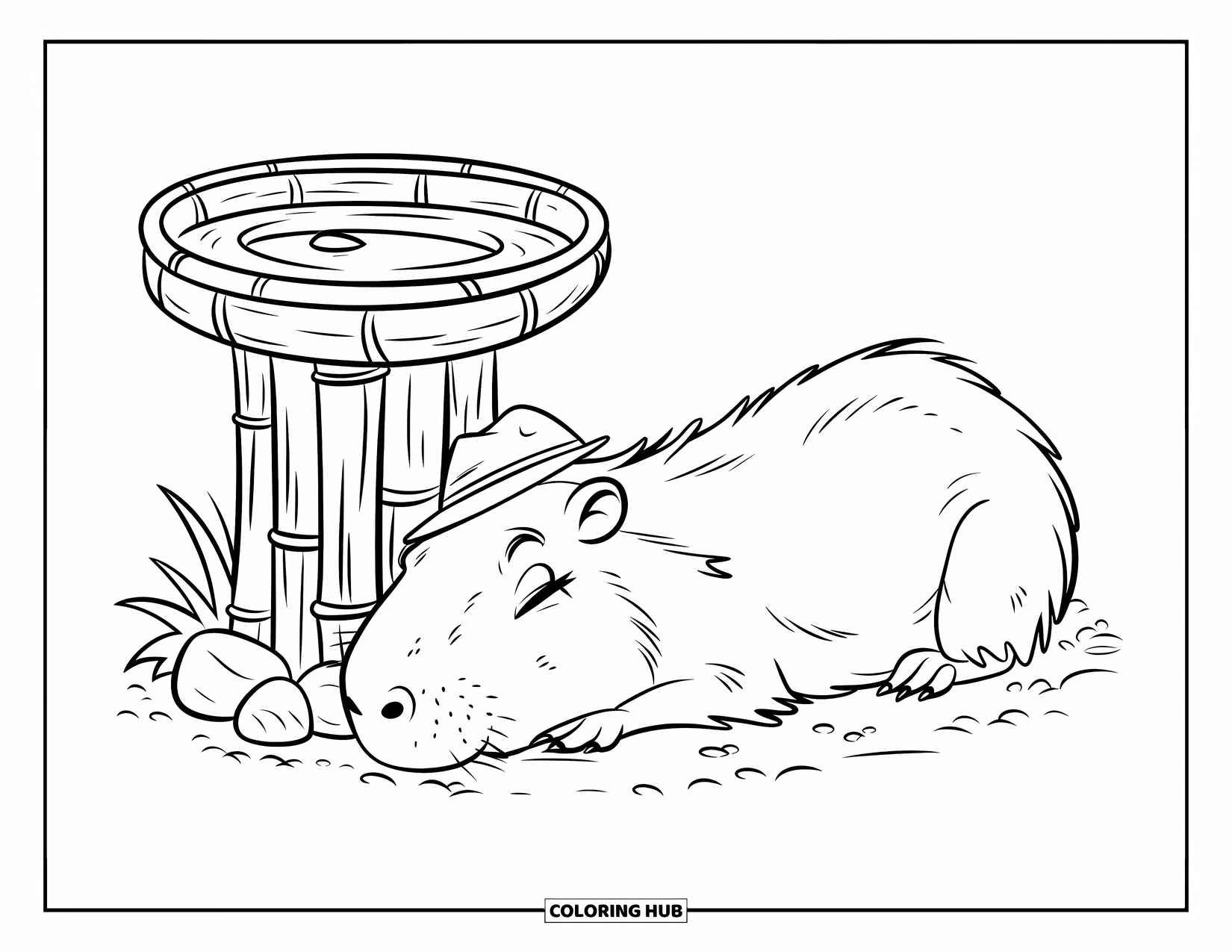 Capybara Coloring Page for Kids: Capybara with a tiny hat naps peacefully beside a simple bamboo fountain