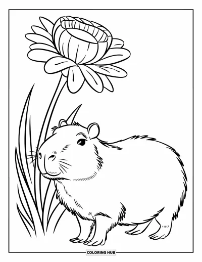 Målarbild med kapybara för barn: Kapybara med korta ben står bredvid en stor blomma mot en enkel bakgrund