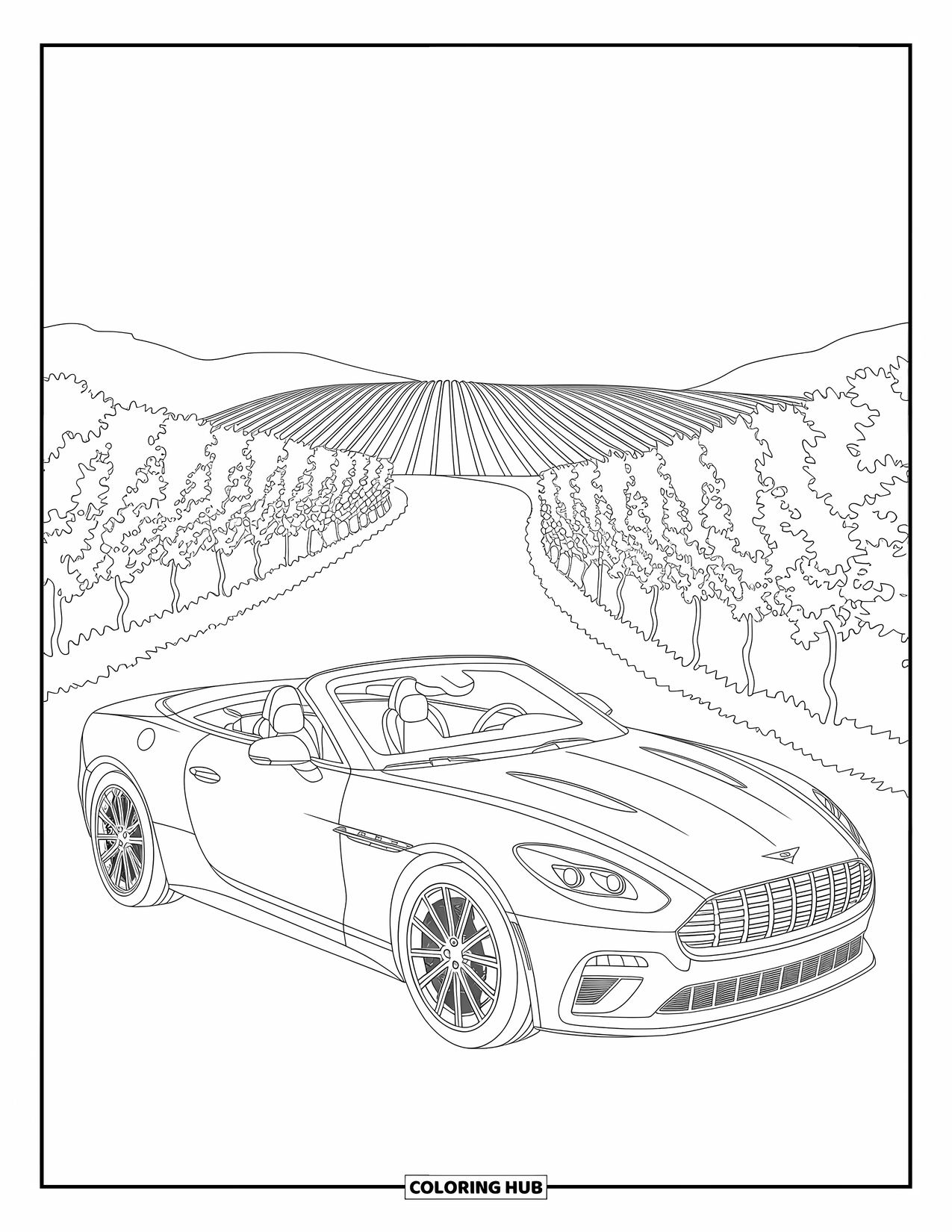 Car Coloring Page for Adults: A sleek convertible rests along a vineyard road lined with rows of grapevines