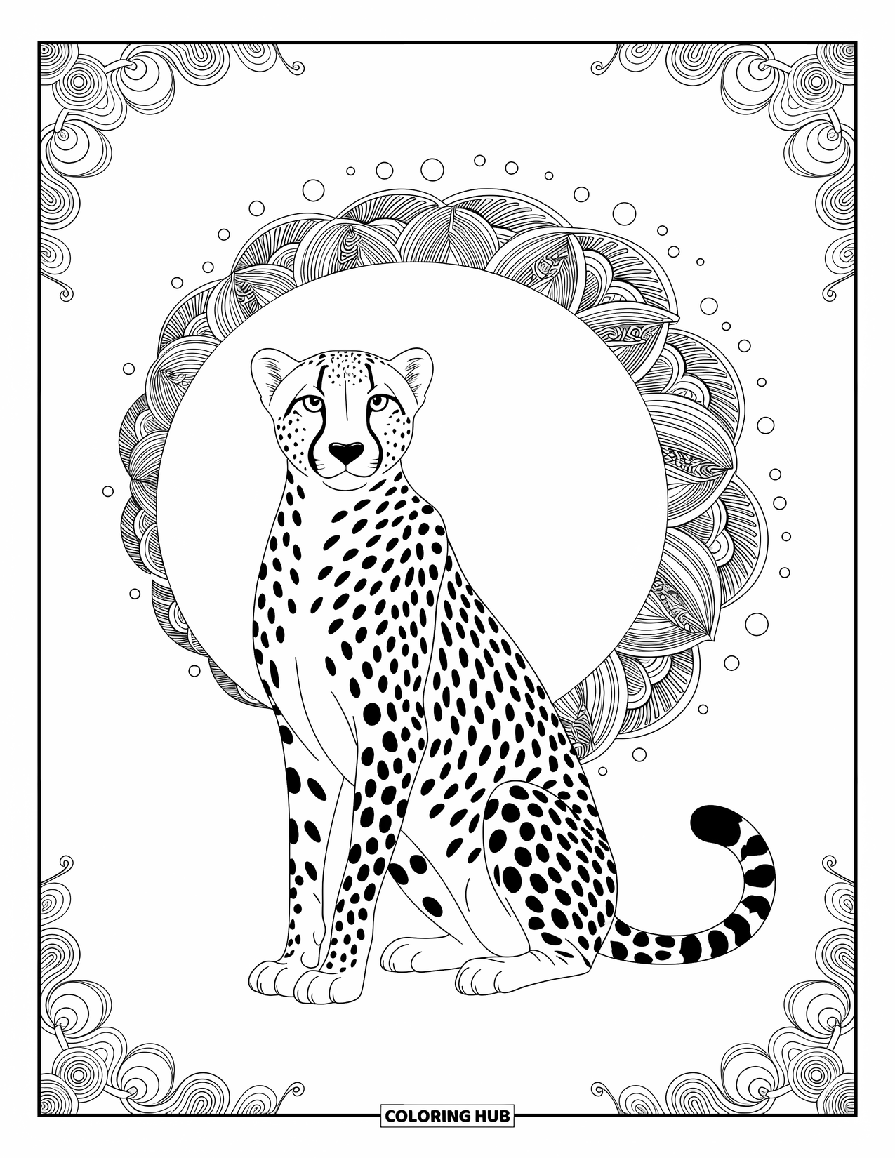 Cheetah Coloring Page for Adults: A calm cheetah sits beneath a swirling zentangle halo with a patterned border around it