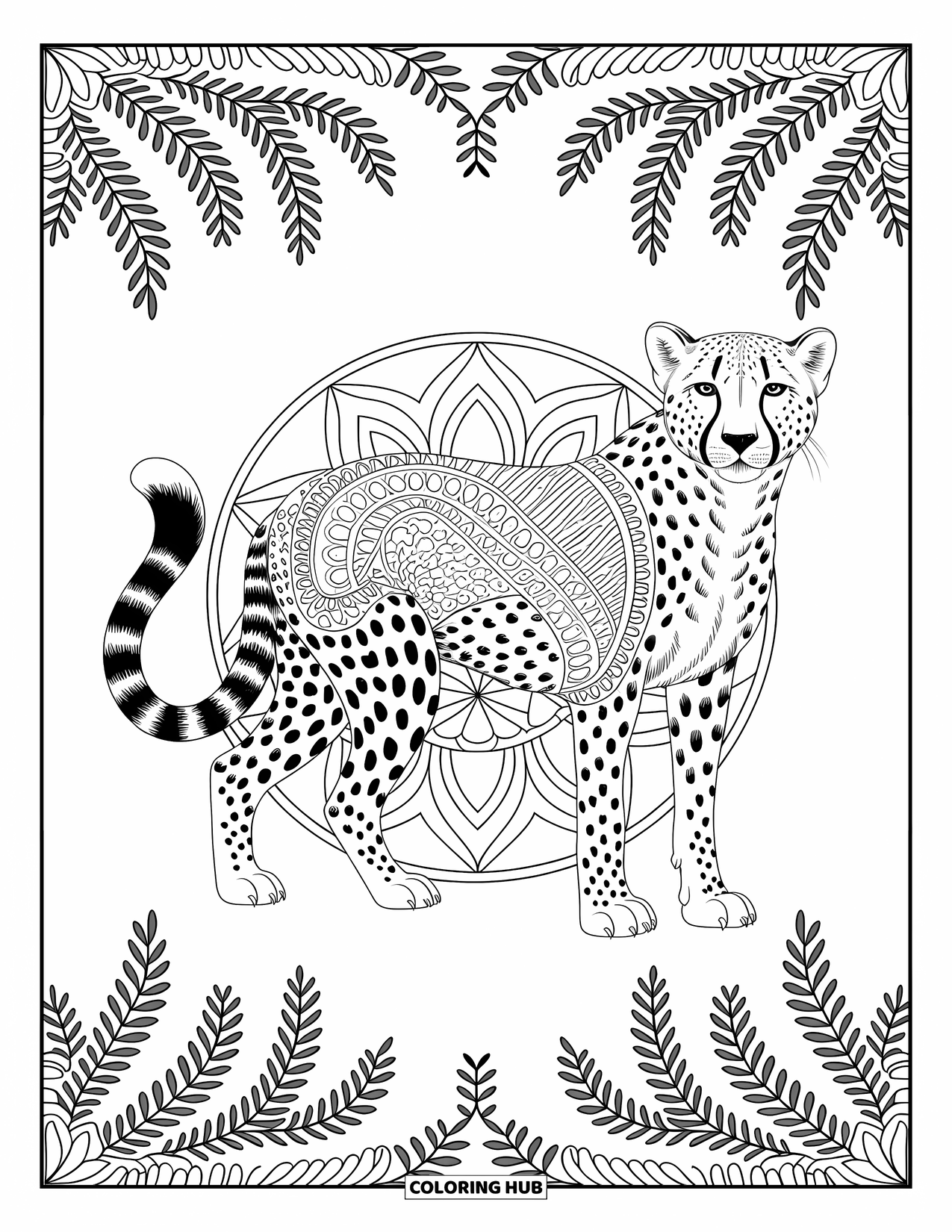 Cheetah Coloring Page for Adults: A cheetah is wrapped in detailed mandalas and vines, set in a clean and elegant scene