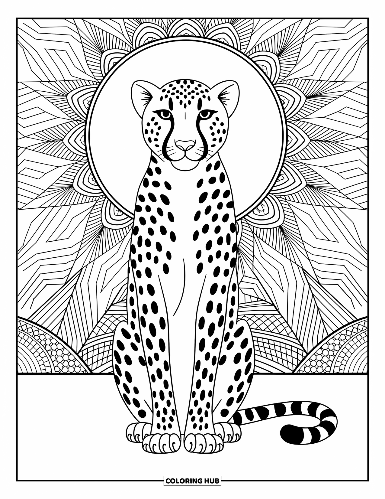 Cheetah Coloring Page for Adults: A peaceful cheetah sits with a halo of zentangle lines and intricate surrounding patterns