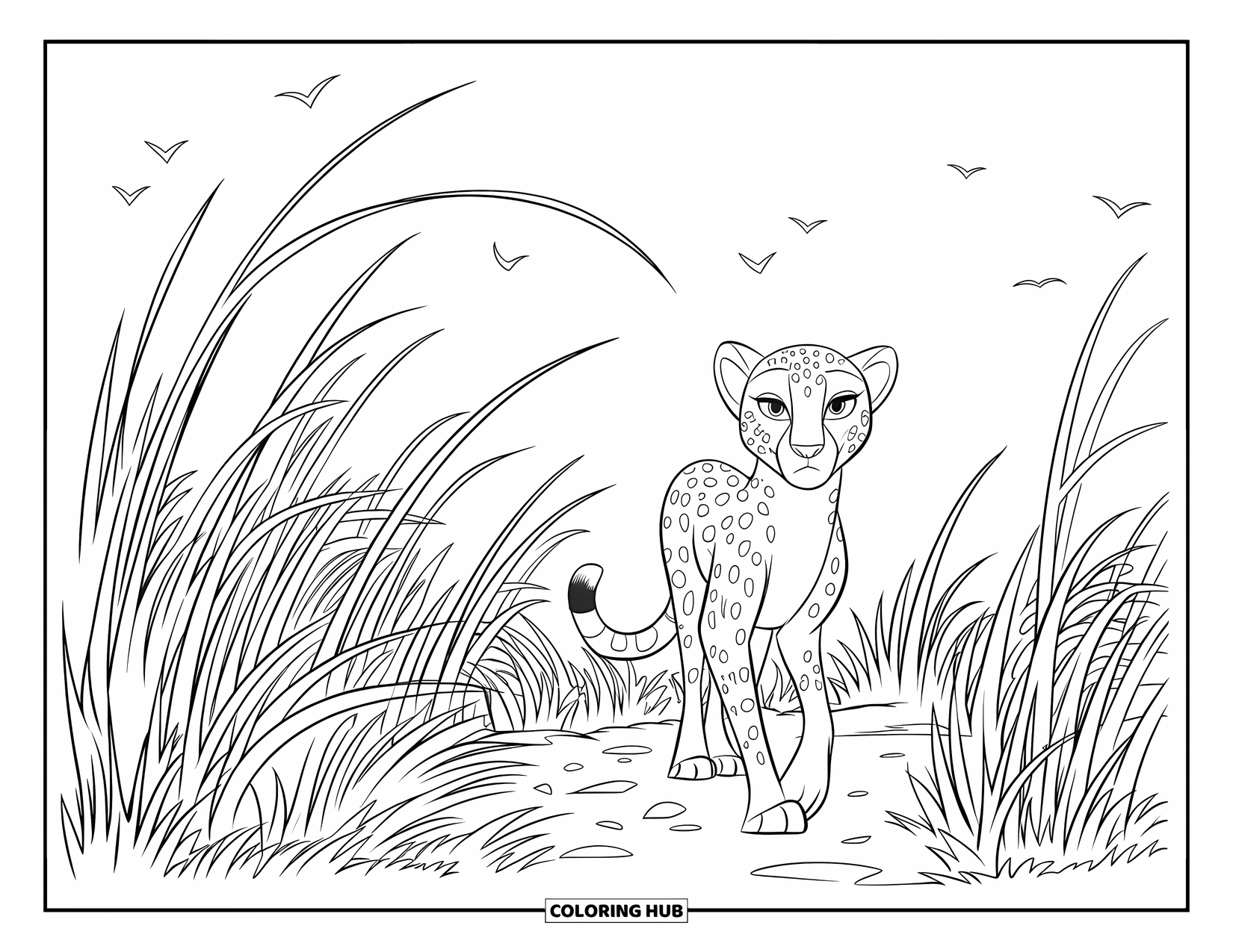 Cheetah Coloring Page for Kids: A cheetah walks a dirt path through tall grass as birds fly above the open land