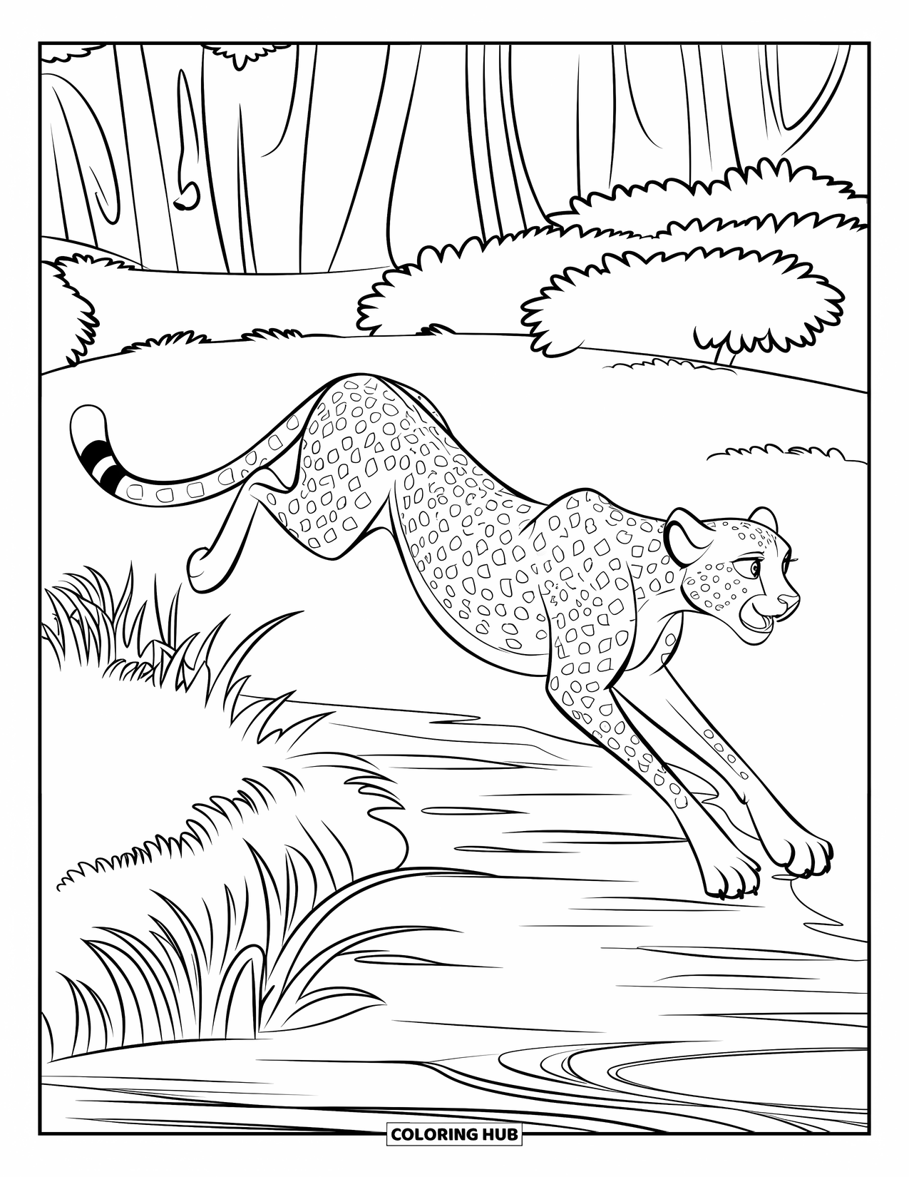 Cheetah Coloring Page for Kids: A panting cheetah jumps a stream lined with calm water and forest plants