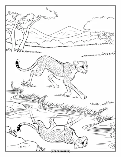 Coloriage Guépard pour enfants : Un guépard courant passe devant un ruisseau, son reflet scintillant dans l’eau calme