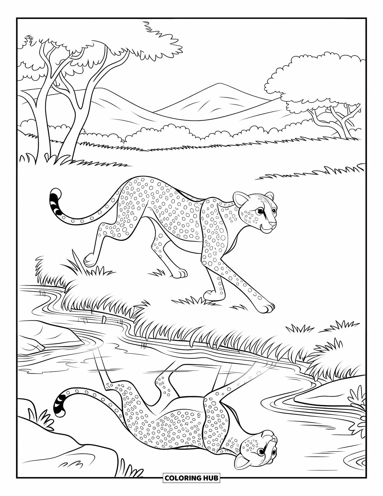 Cheetah Coloring Page for Kids: A running cheetah dashes past a stream, its reflection shimmering in the calm water