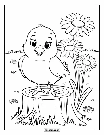 Coloriage de poulet pour enfants : Un poussin aux ailes repliées assis près de marguerites sur une souche mousseuse