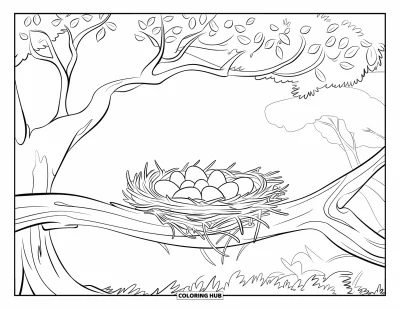 Coloriage de poulet pour enfants : Un nid rempli d'œufs posé sur une branche épaisse sous un arbre feuillu