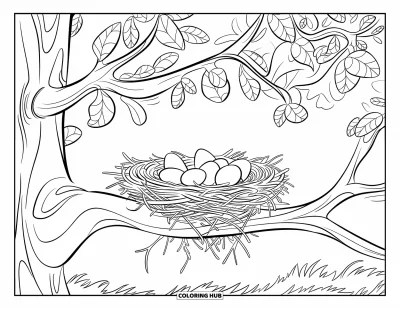 Coloriage de poulet pour enfants : Un nid de brindilles avec des œufs sur une branche aux feuilles à motifs