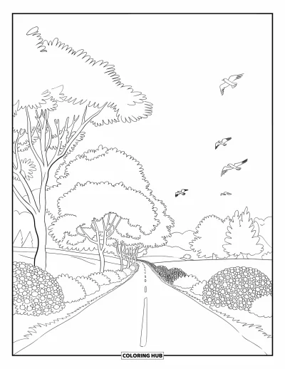 Coloriage de campagne pour adultes : Une route sinueuse à travers des buissons en fleurs et de grands arbres avec des oiseaux en vol