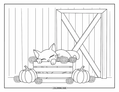 Coloriage de campagne pour enfants : Un chat qui dort sur des citrouilles avec des soucis à côté du mur en bois d'une grange