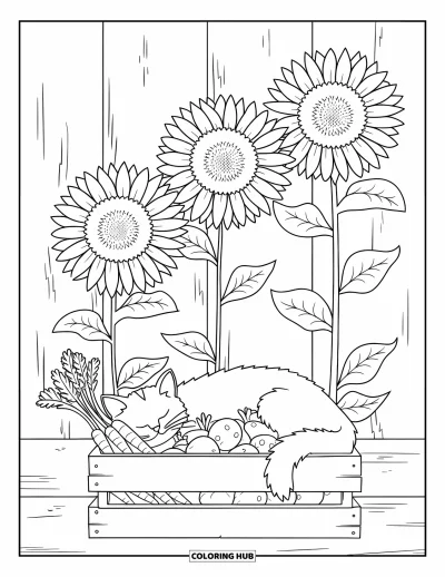 Coloriage de campagne pour enfants : Un chat de grange roulé en boule dans une caisse de légumes à côté de fleurs ensoleillées et d'un vieux mur rustique